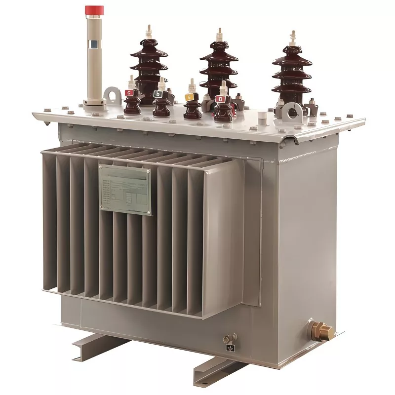 ໝໍ້ແປງໄຟຟ້າ 100KVA 11KV Oil Immered Transformer